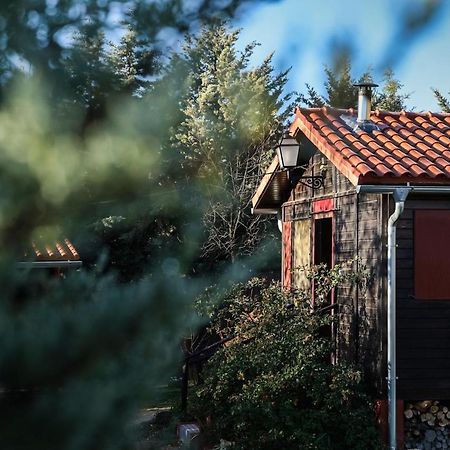 Casa Rural La Canadiense Log Cabin Guest House Buenache de la Sierra Екстериор снимка
