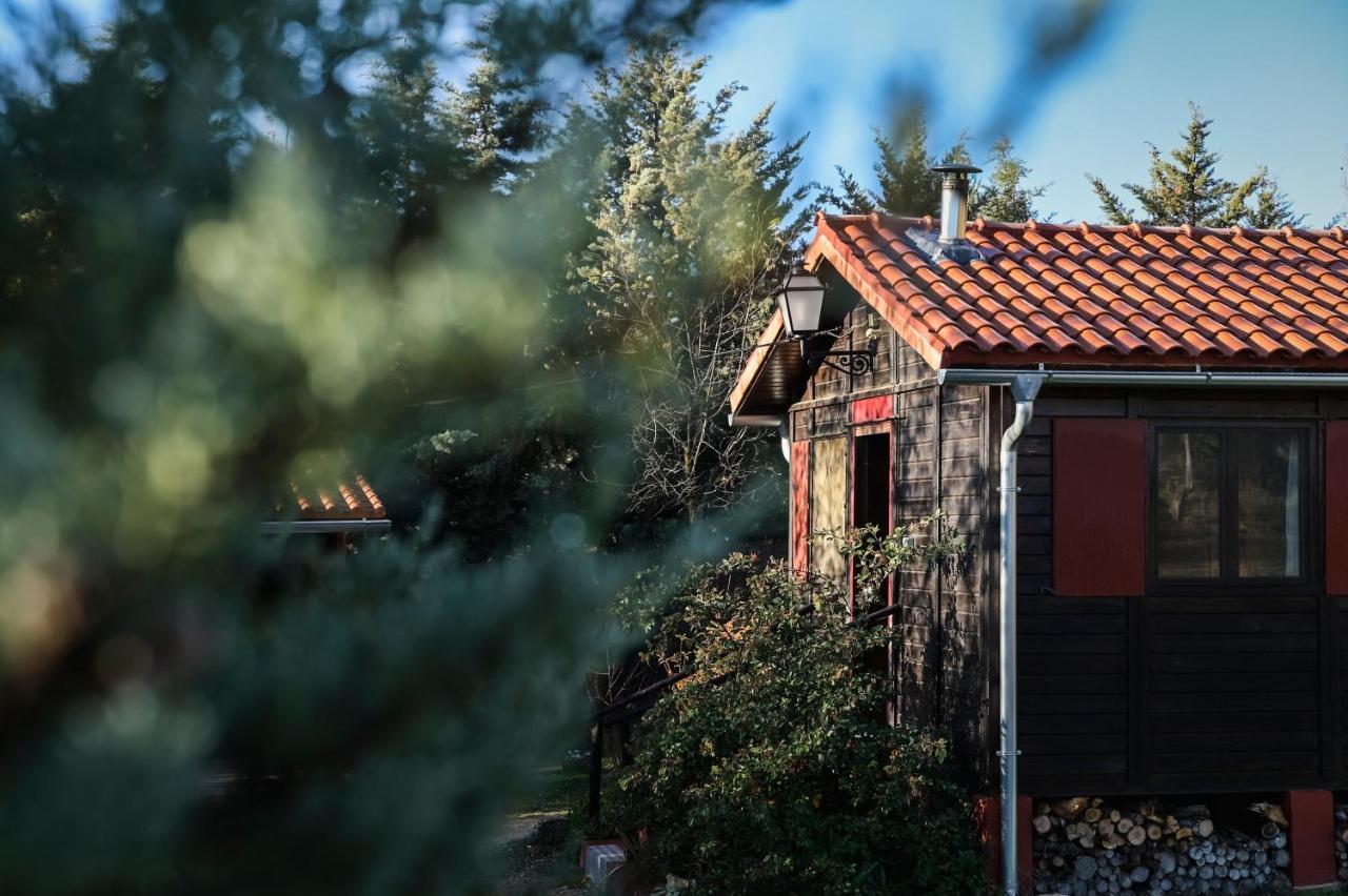 Casa Rural La Canadiense Log Cabin Guest House Buenache de la Sierra Екстериор снимка