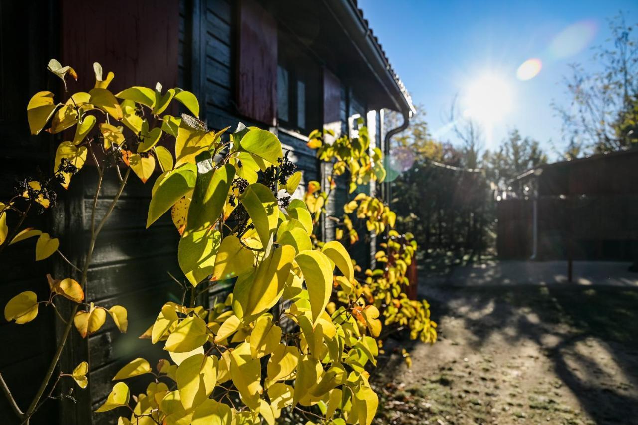 Casa Rural La Canadiense Log Cabin Guest House Buenache de la Sierra Екстериор снимка